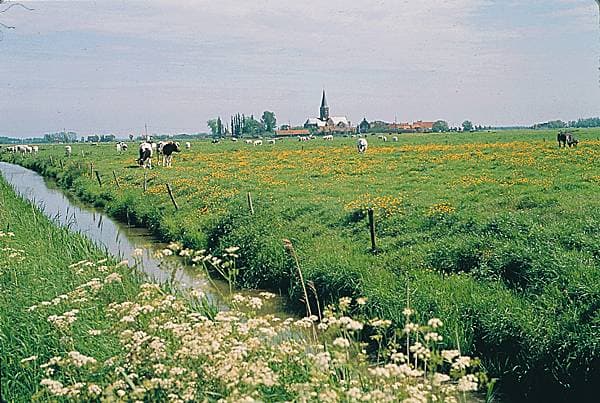Flandre-Occidentale