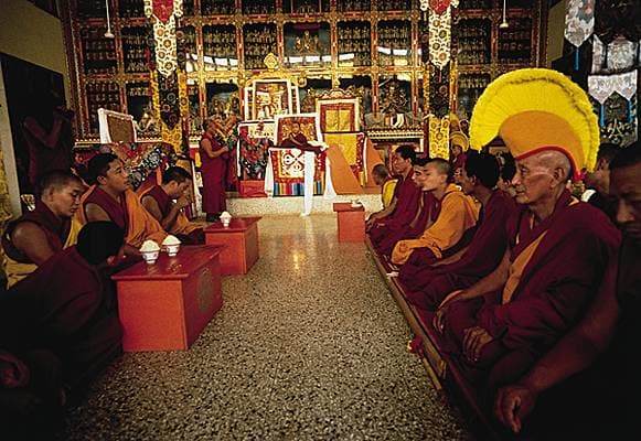 Lama lors d'une cérémonie