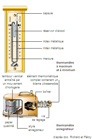 Chauve souris lèvre Réglage fonctionnement thermomètre mercure parade