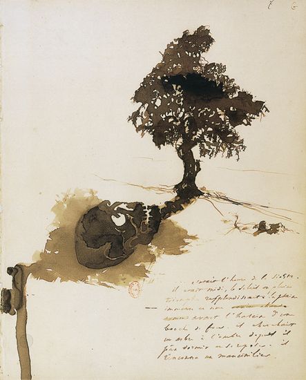 Victor Hugo, <i>l'Ombre du mancenillier</i>