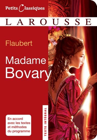 Gustave Flaubert, <i>Madame Bovary</i>