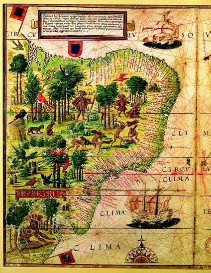 Carte du Brésil datant de 1519