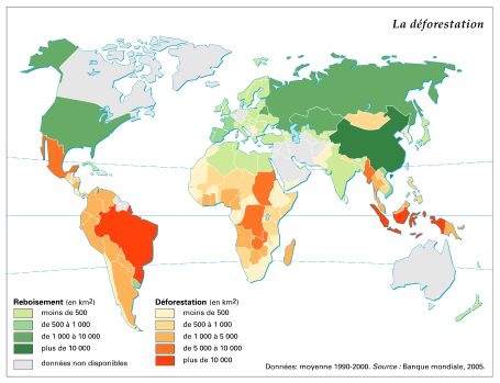 La déforestation