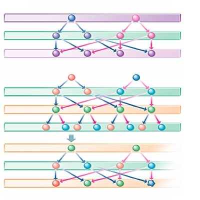 dominant LAROUSSE