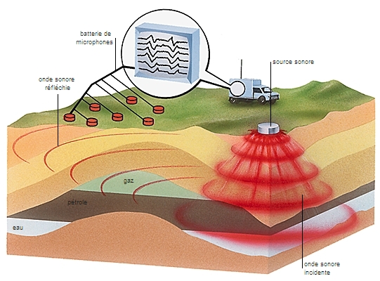 pétrole latin médiéval petroleum du latin classique petra pierre