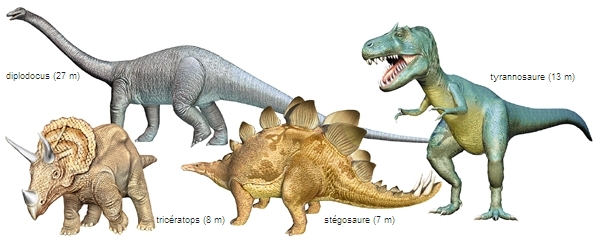 Quelle était la taille des dinosaures?