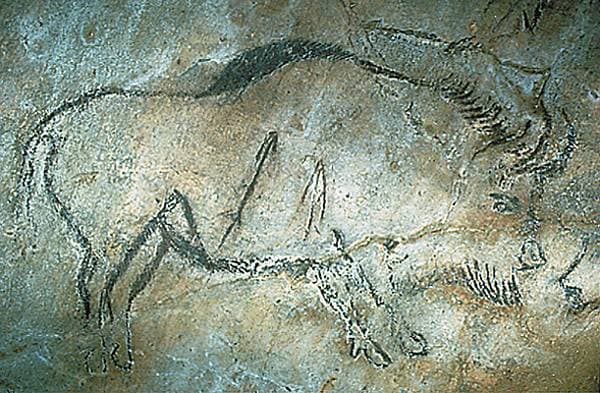 Peinture rupestre de Niaux