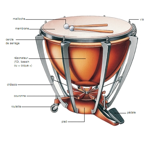 Les percussions, instruments de base minimum – Le site sorties