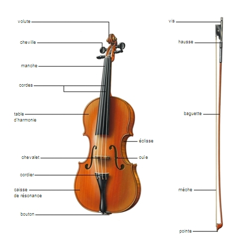 violon larousse