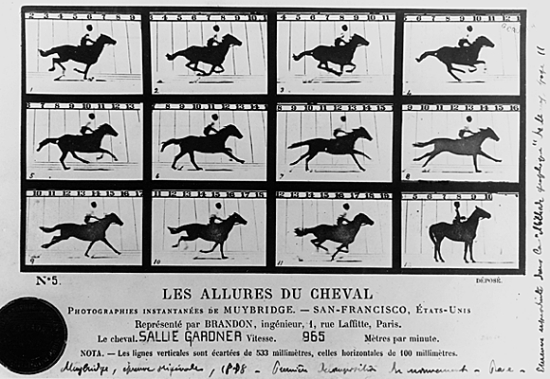 Edward Muybridge, <i>les Allures du cheval</i>