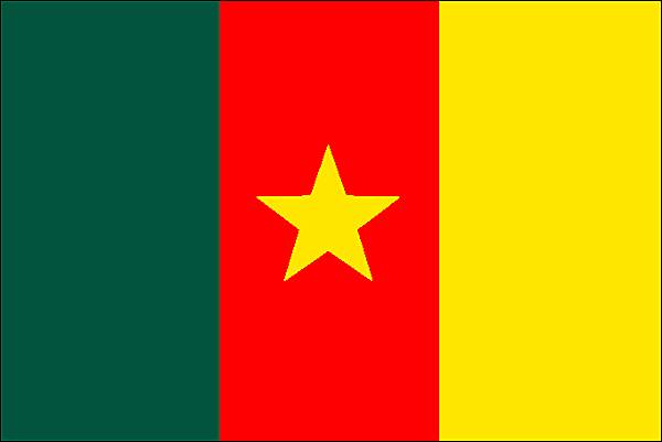 https://www.larousse.fr/encyclopedie/data/images/1009477-Drapeau_du_Cameroun.jpg