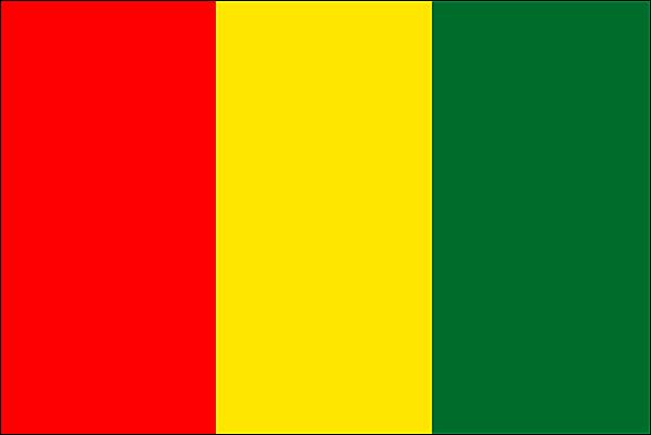 Guinée: origine et usages du mot