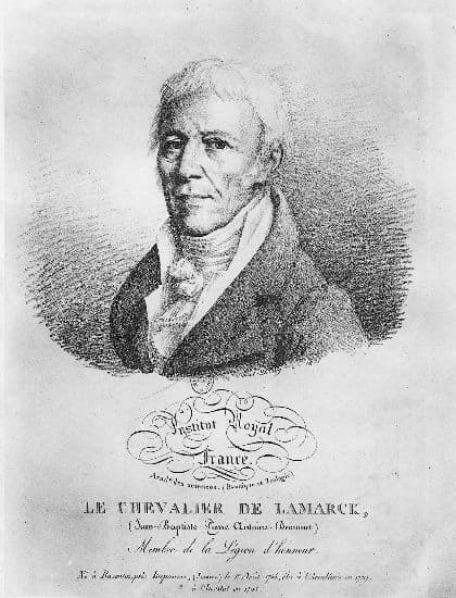 Chevalier de Lamarck