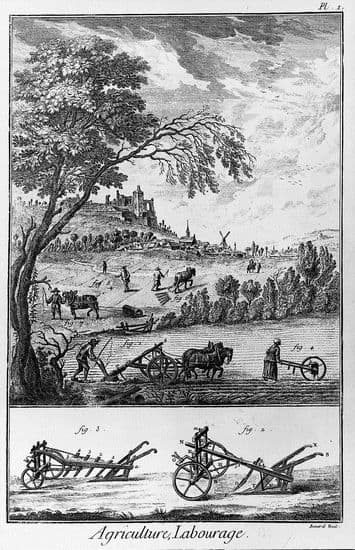 Planche extraite de l'Encyclopédie : agriculture et labourage