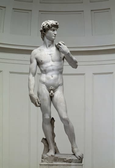 Michelangelo Buonarroti Dit En Francais Michel Ange Larousse