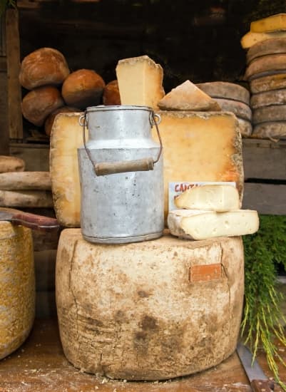Pot à lait ancien et tomes de fromage
