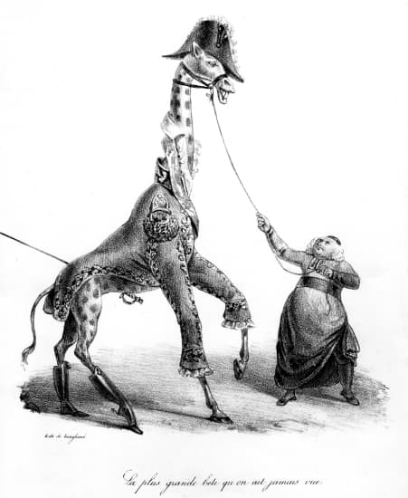 Comment la girafe survit à son long cou