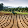 Tracteur dans un champ