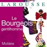 Molière, Le Bourgeois gentilhomme