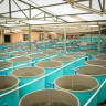 Aquaculture Aquaculture