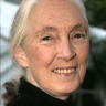 Jane Goodall Jane Goodall